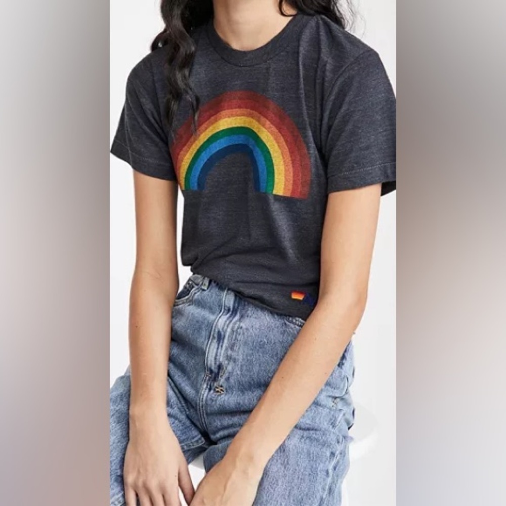 Aviator Nation Rainbow Boyfriend Tee — Charcoal, NWT XS, Everyday Essential